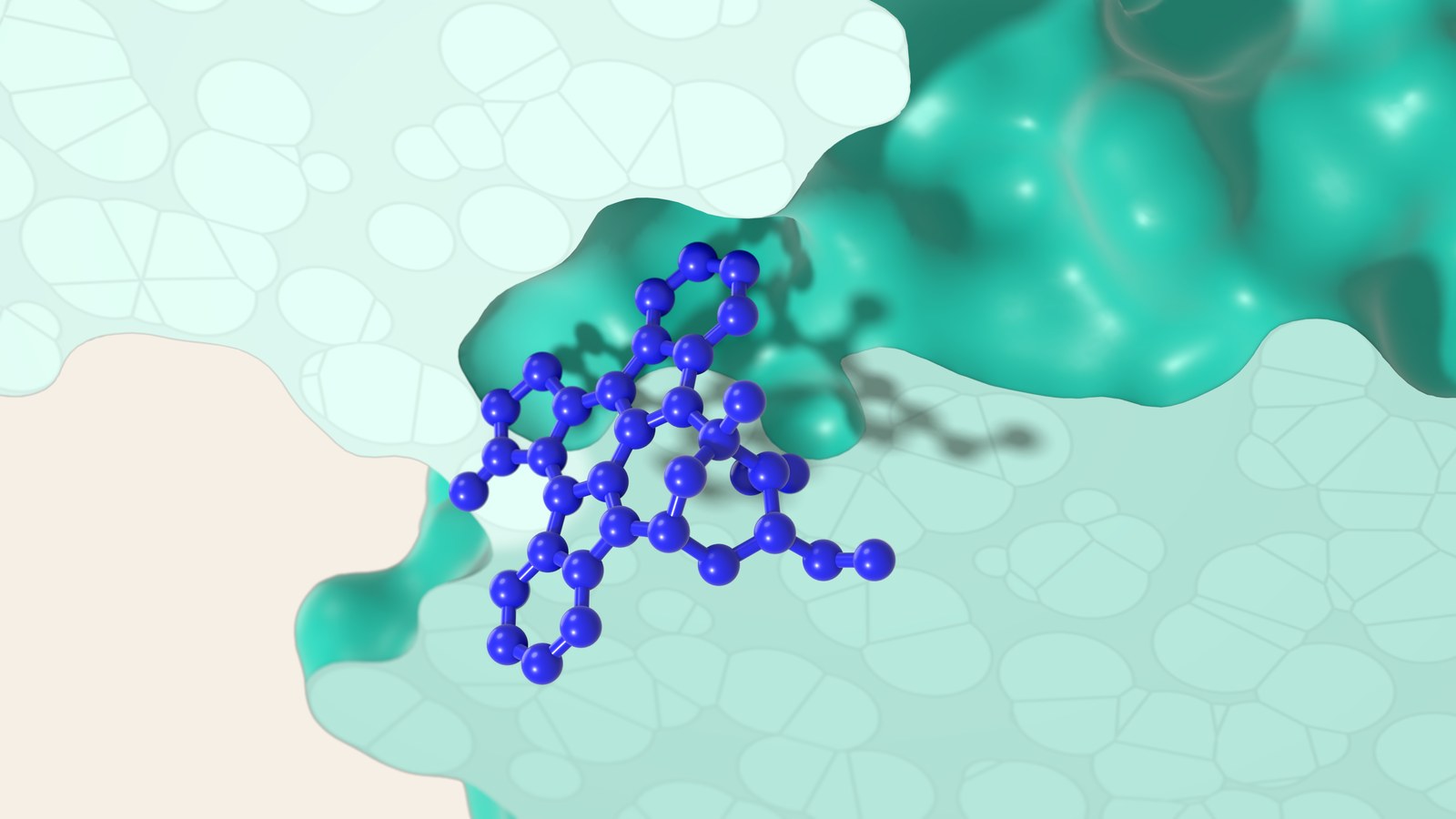 3D illustration of a protein kinase in cross-section: an inhibitor, in blue, occupies the pocket where ATP binds, between the enzyme's two lobes