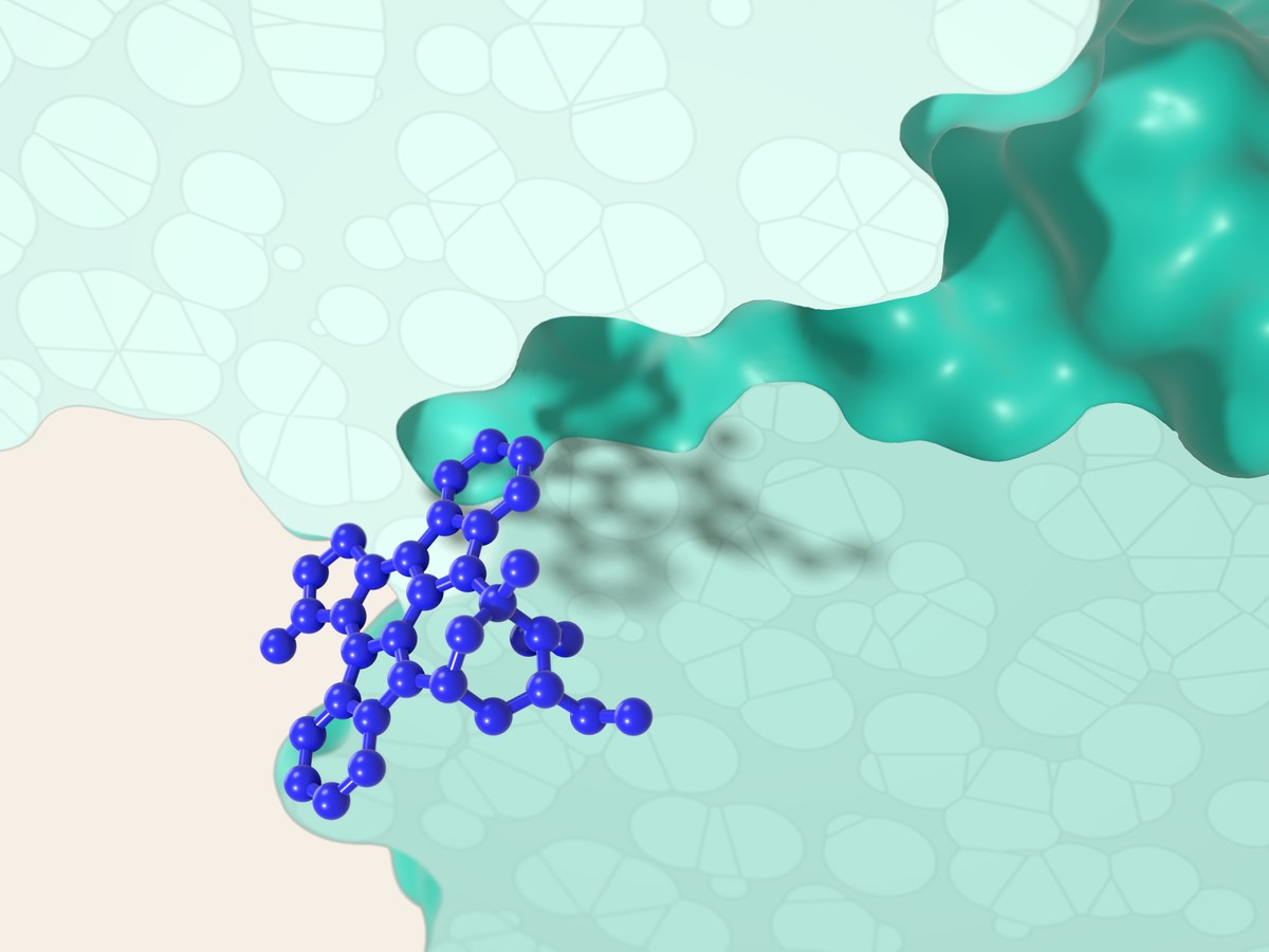 3D illustration: an inhibitor, in blue, approaches the empty pocket of a protein kinase shown in cross-section